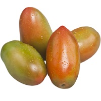 Pomodoro-ovetto-oblungo