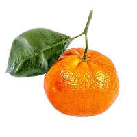 mandarini