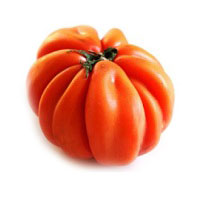pomodoro-cuore-di-bue
