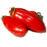pomodoro-san-marzano