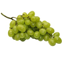uva-bianca