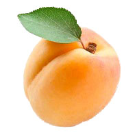 albicocche