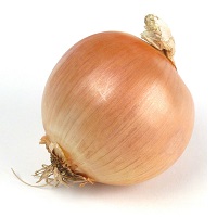 cipolla-dorata