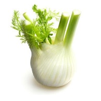 finocchi