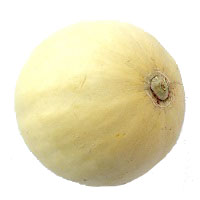 meloni