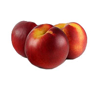 nettarine