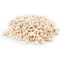 orzo