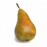 conference-pears