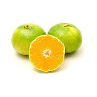 satsuma-miyagawa