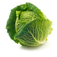 savoy-cabbage