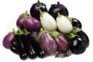 melanzane