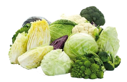 cavoli