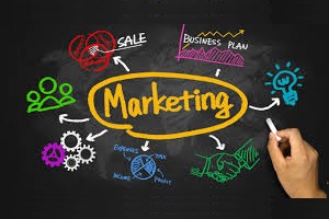 digital-marketing-ortofrutta